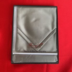 NWT Ascot and Pocket Square set
